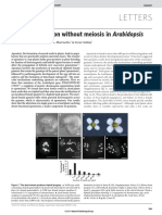 Gamete Formation Without Meiosis in Arabidopsis PDF
