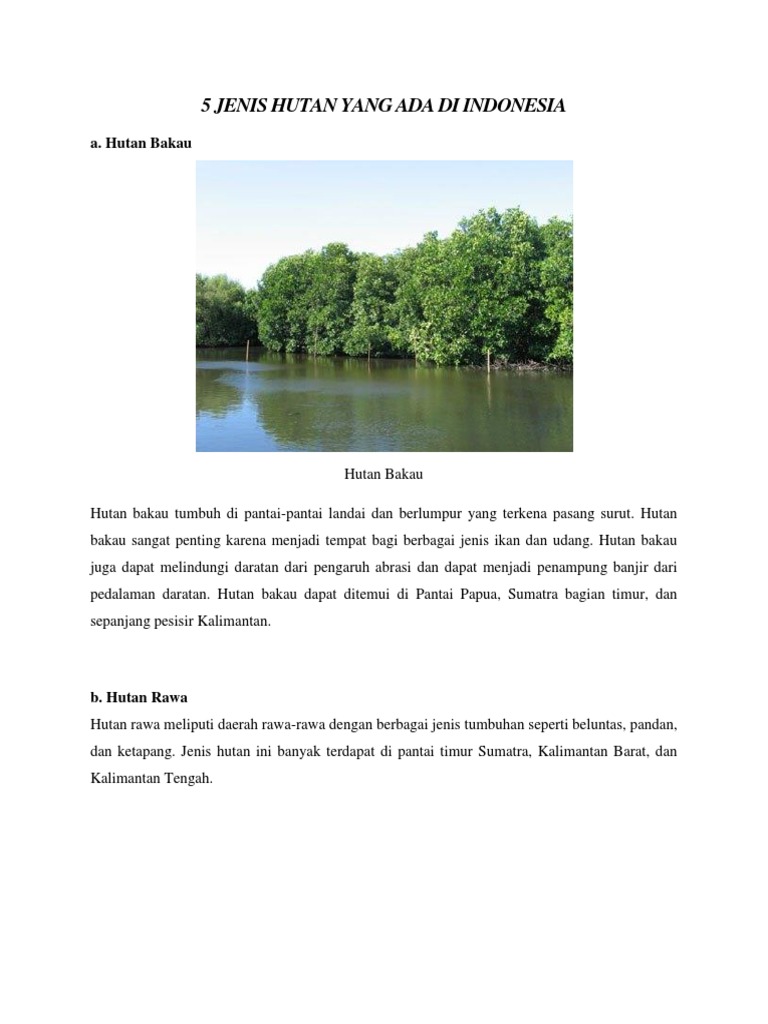 5 Jenis Hutan Yang Ada Didocx