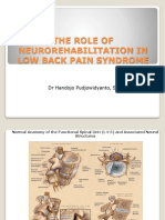 The Role of Neurorehabilitation in Low Back Pain Revisi