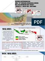 Kel 9 (Malaria)