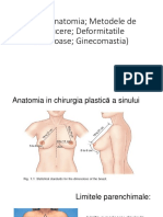 Sinul (Anatomia