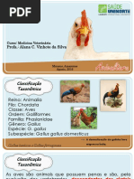 Avicultura_Completa (1)