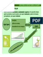 Cresterea Si Dezvoltarea La Plante