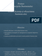 Eficienţa Şi Eficacitatea Businessului