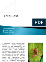 Erliquiose