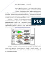 RRA - Regional Risk Assessment