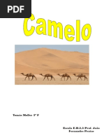 Camelo Muller