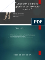 Disección Del Plano Superficial Del Miembro Superior