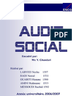 119271435-Audit-Social.docx