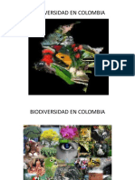 Biodiversidad en Colombia