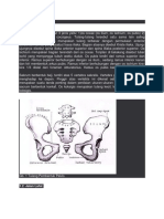 Tinjauan Teori Pelvis