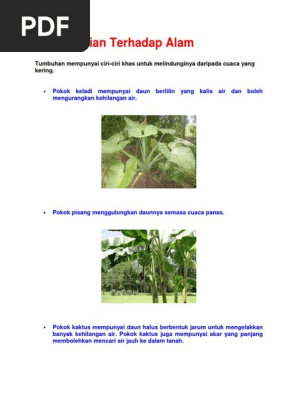 Tumbuhan Melindungi Diri Pdf