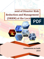 Assessment_of_DRRM_at_the_Local_Level_COA.pdf