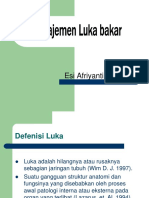 Luka dan Penyembuhannya