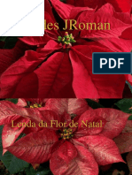02-Lenda Da Flor de Natal