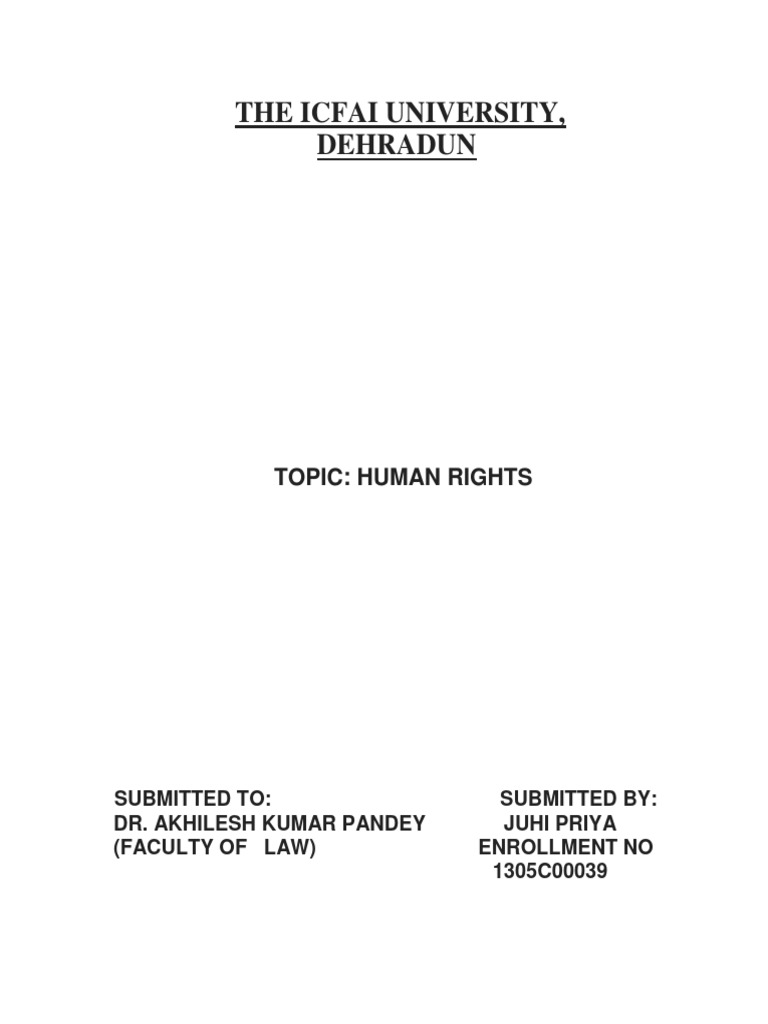 Overview of Human Rights Concepts | PDF | Human Rights | Rights