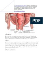 Anus Adalah Bagian Akhir Dari Sistem Pencernaan Pada Manusia Dan Hewan