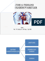 Sistem Kardiovaskuler