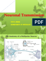 Neuronal Transmission (Prof. Ieva)