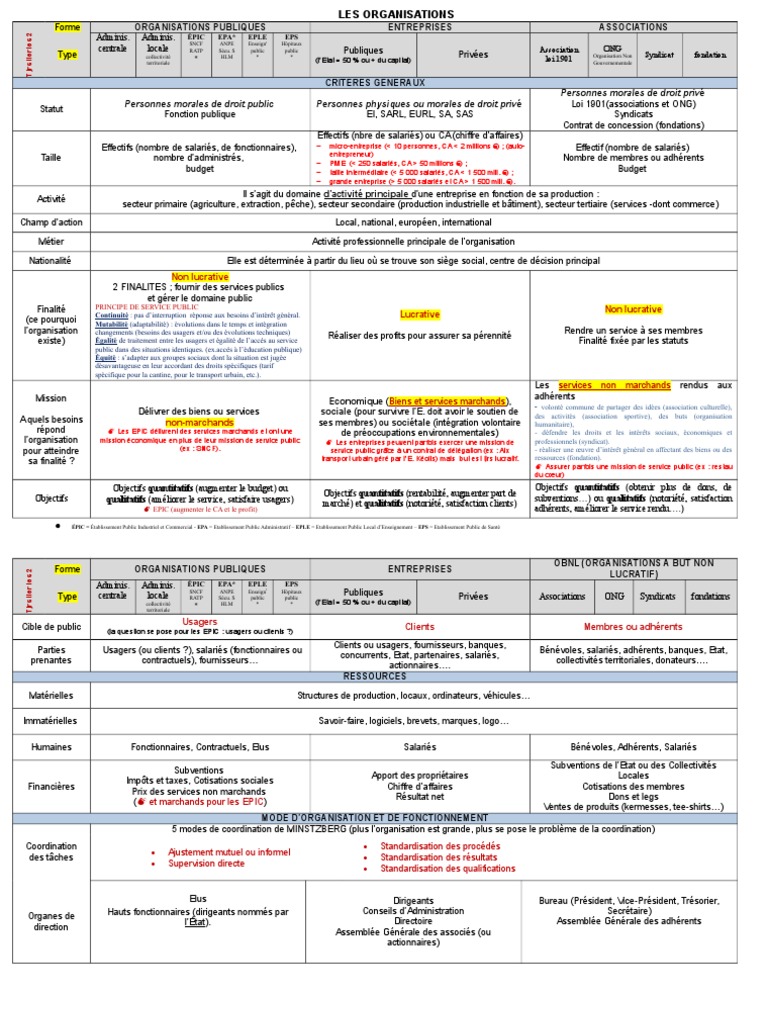 Grille De Caracterisation Dune Organisation Caracteriser Une Organisation - STMG | PDF | Services publics | Subvention