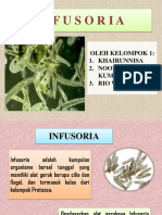 Infusoria