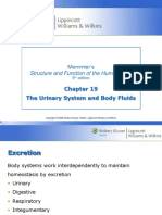 The Urinary System