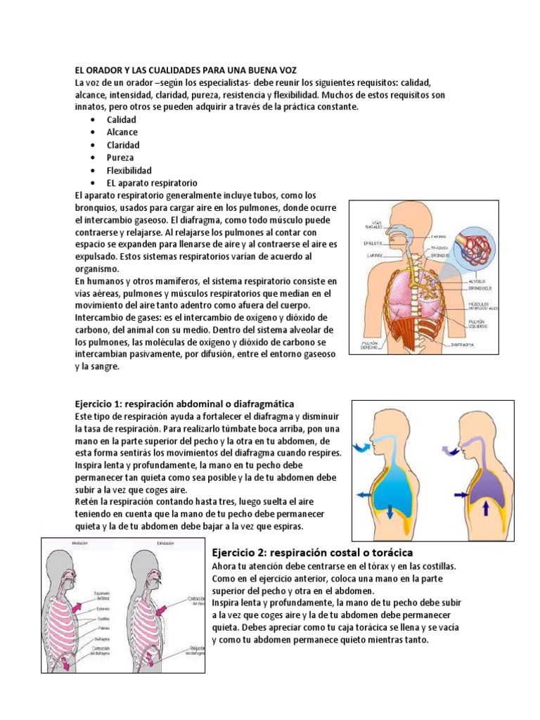 Cualidades de la Voz y Respiración | PDF | Sistema respiratorio ...