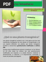 PLANTAS TRANSGÉNICAS