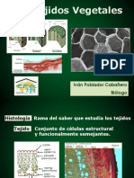 tejidos-vegetales.pdf