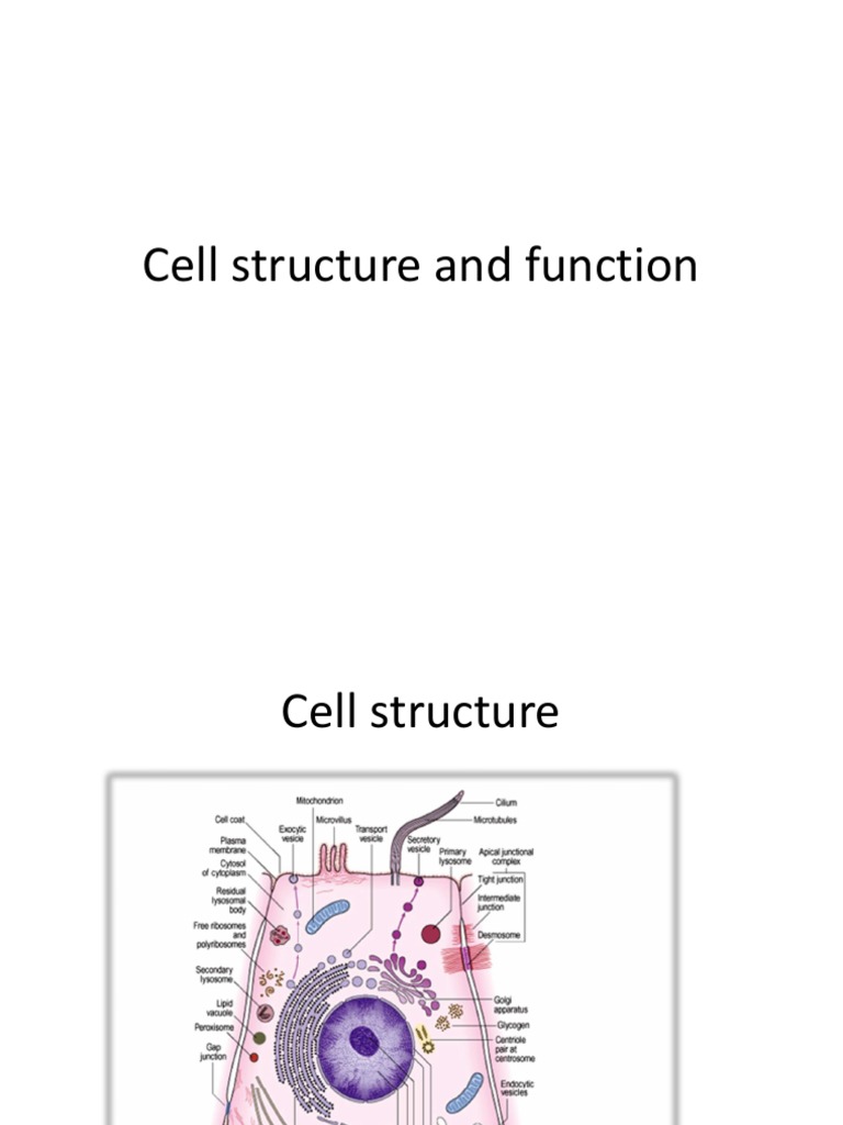 Overview of Cell Structure and Function | PDF | Cell Membrane | Cell ...