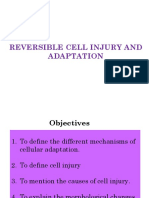 Reversible Cell Injury and Adaptation (09.11.2017)