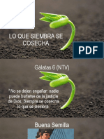 Lo Que Siembra Se Cosecha