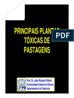 Plantas toxicas de pastagens.pdf