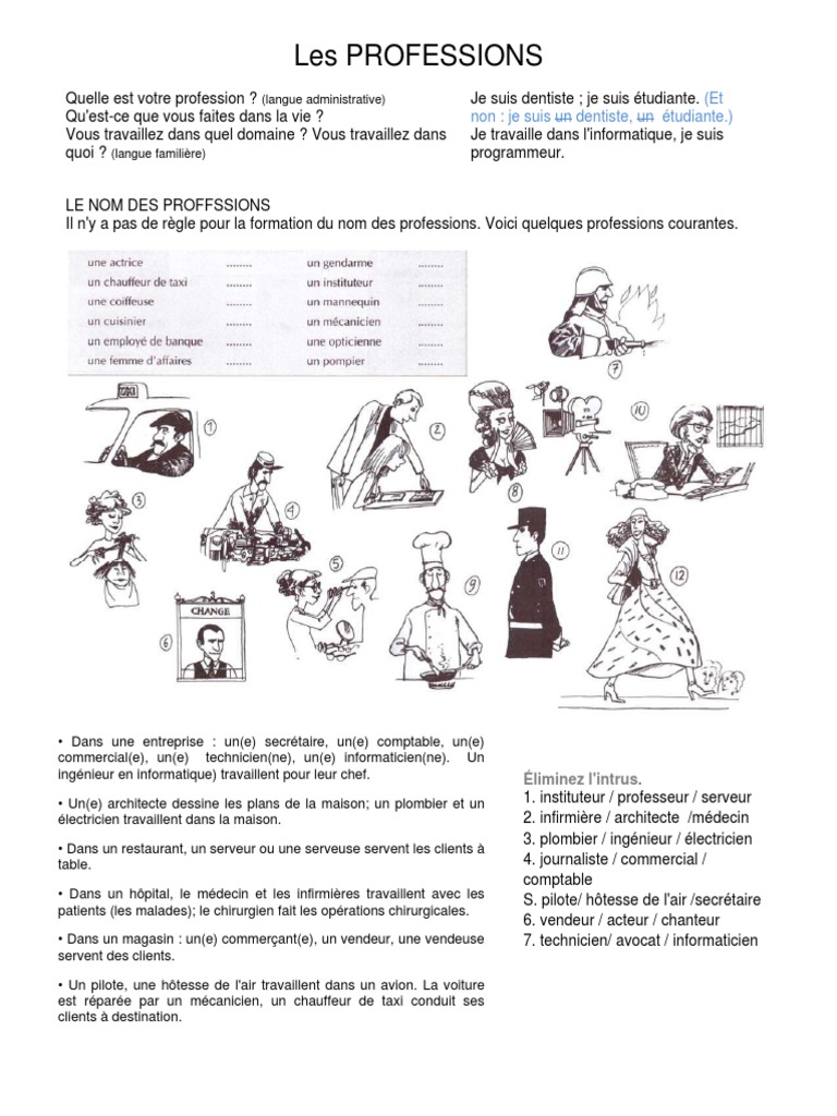 Les Professions en Français | PDF | Informatique et technologies de l ...
