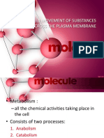 263774898 3 1 the Movement of Substances Across the Plasma Membrane