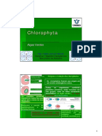 Vegetais Criptogâmicos Chlorophyta (2)
