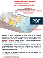 Unidad III - Ambientes Sedimentarios-18