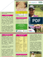 Brochure INTA FORTALEZA PDF