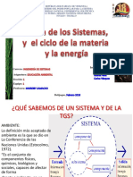 Teoria de Sistemas y Ambiente