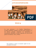 Yuca