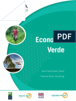 Economia Verde PDF