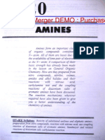 Amn PDF