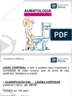 IDG_medlegal_aula03_PauloVasques.pdf
