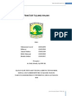 CSS Fraktur Tulang Wajah PDF Jurnal Format PDF