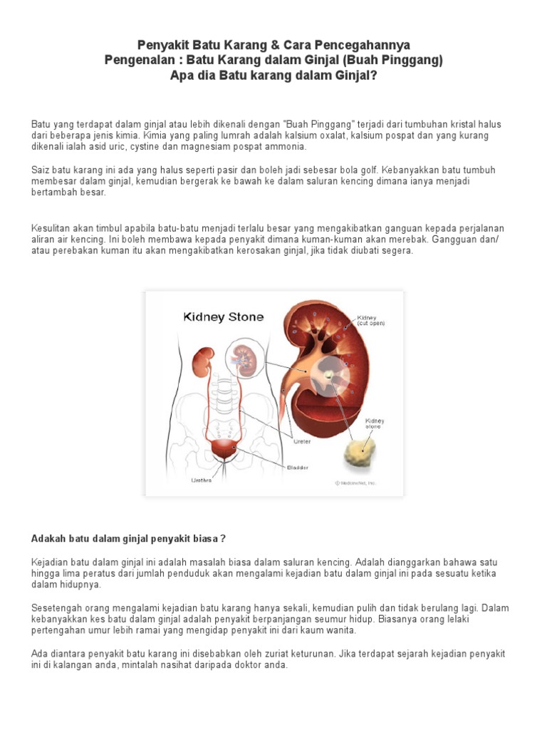 Tips Elakkan Masalah Sakit Batu Karang Berulang Pdf