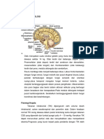 ANATOMI DAN PATOFISIOLOGI SAKIT KEPALA