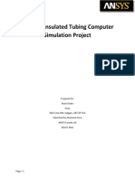 Vit CFD Modeling Final Report