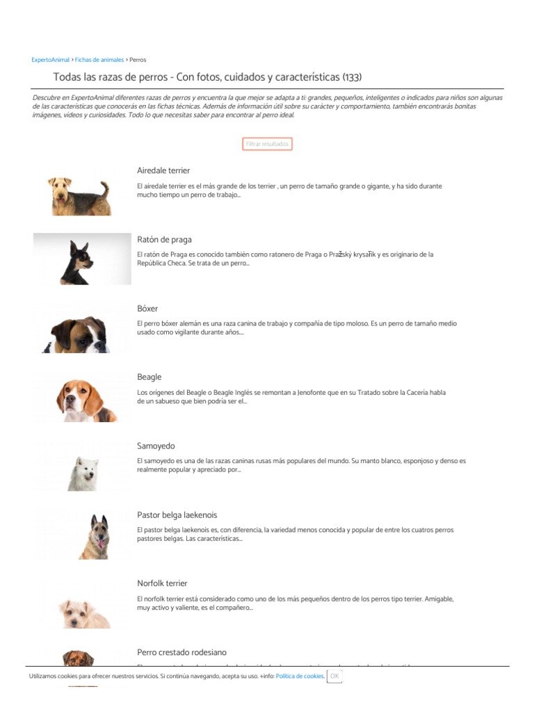 Todas Las Razas de Perros - Con Fotos, Cuidados y Características | PDF ...