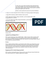 Fungsi Atau Peranan DNA