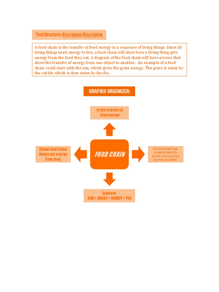 Food Chain Graphic Organizer Biology Diagrams